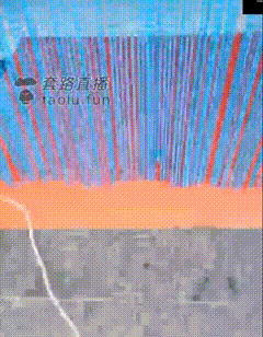 IMG_4714.GIF